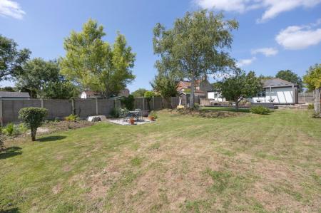 image25
