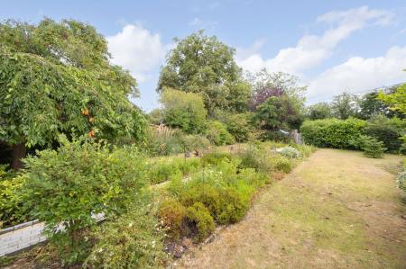 image28