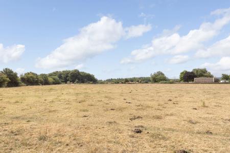 image20