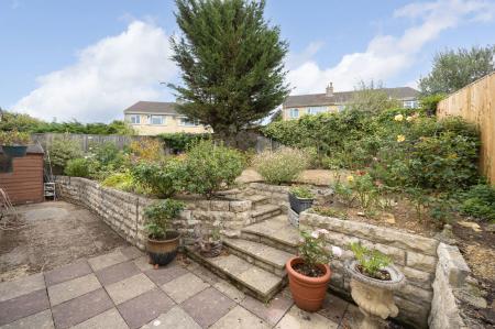 image15
