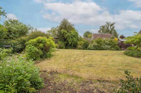 image20