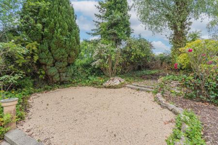 image15