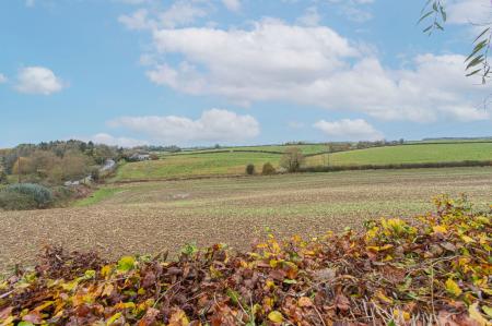 image13