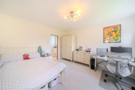 nest-25.jpg
