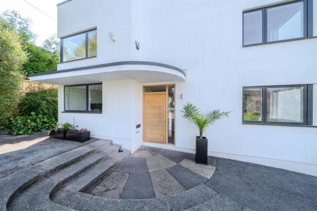 nest-109.jpg