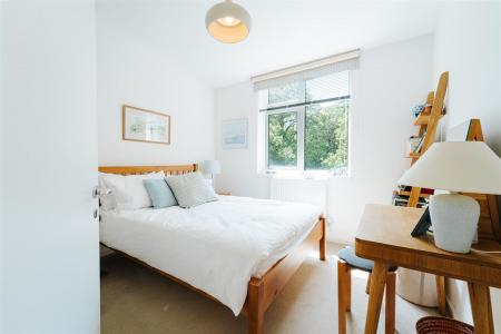 nest19.jpg