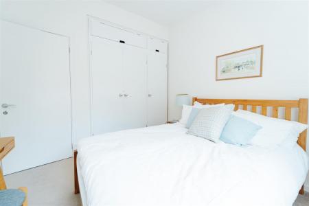 nest20.jpg