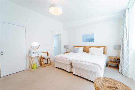 nest11.jpg