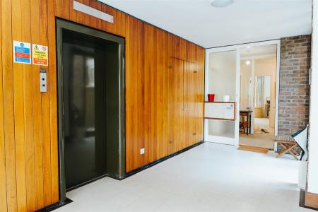 nest38.jpg
