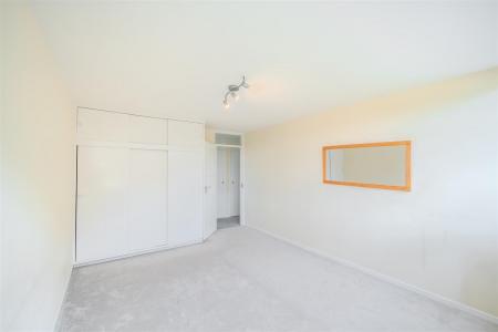 nest-15.jpg