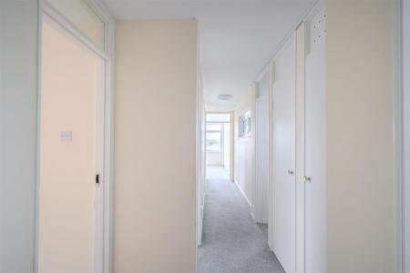 nest-12.jpg