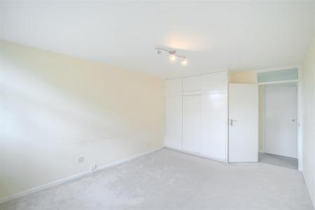 nest-14.jpg