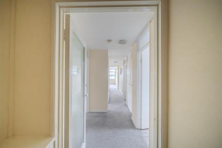 nest-25.jpg
