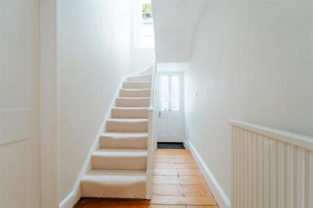 NEST-4.jpg