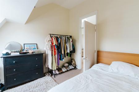 nest-8.jpg
