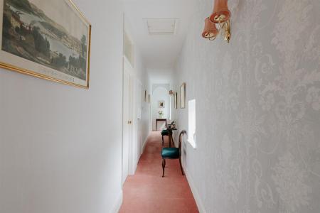 nest-33.jpg