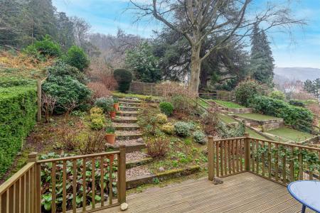Garden-1.jpg