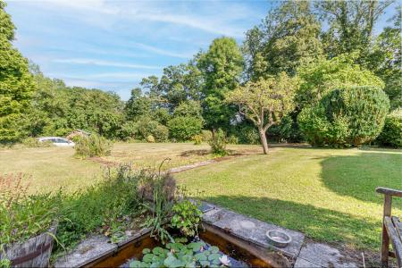 Garden-3.jpg