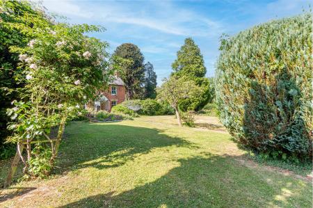 Garden-2.jpg