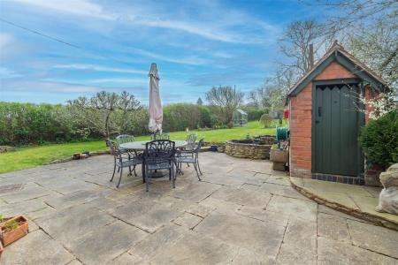 back-garden-1-2.jpg