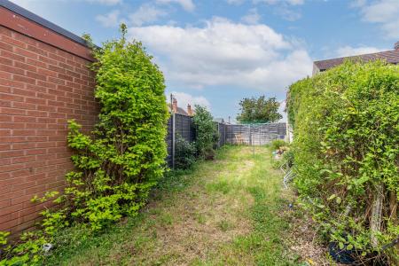 Garden-1.jpg
