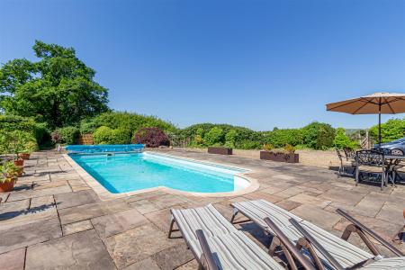 Garden-7.jpg
