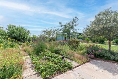 Garden-7.jpg