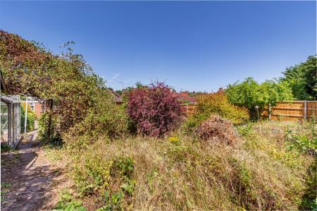 Garden-1.jpg