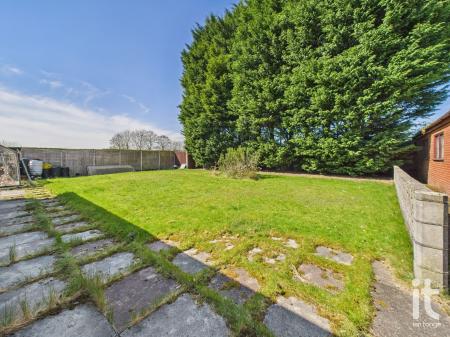 Photograph 25
