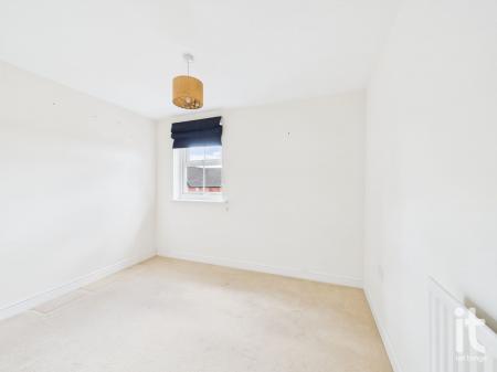 Photograph 25