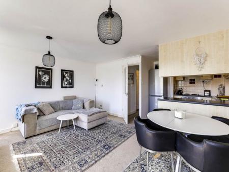 Open PLan