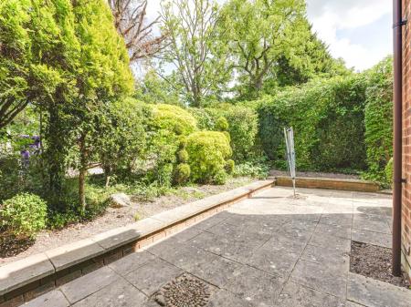 Garden (2)