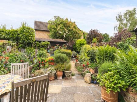 Garden 2