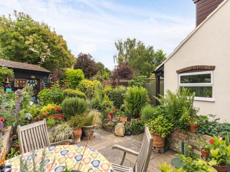 Garden 3