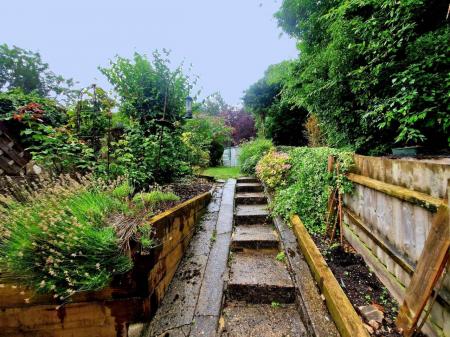 Garden 1