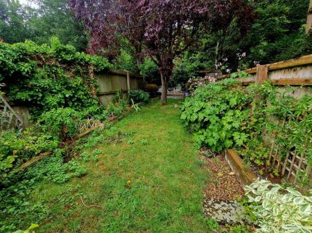 Garden 5