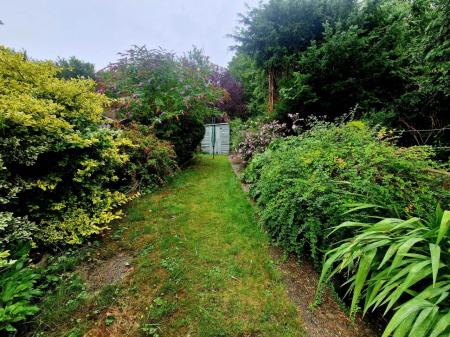 Garden 3