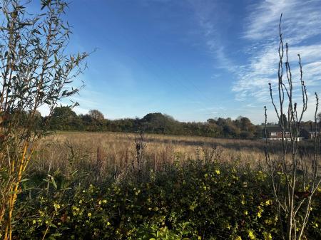 IMG_7159.jpeg