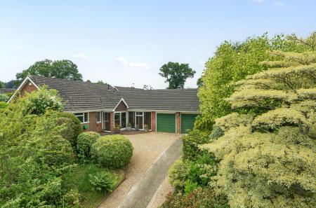 1309972-8-684aab4...