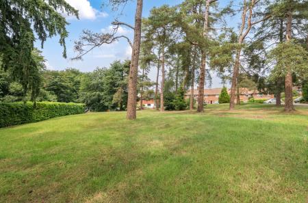 1309053-18-6855c1...