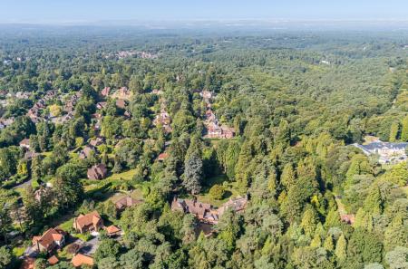 1334632-12-689b3b...