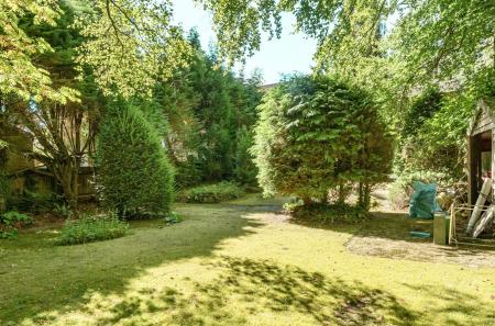 1344581-4-68b03d6...