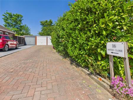 OUTSIDE - DRIVEWAY