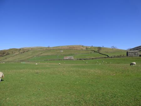 Photo 03