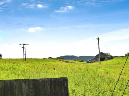 Picture No. 11