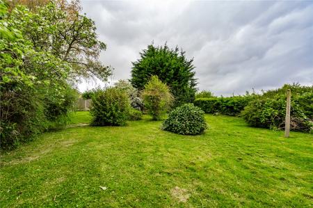 Rear Gardens
