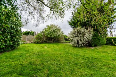 Rear Gardens