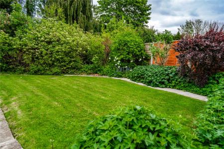 Garden (2)