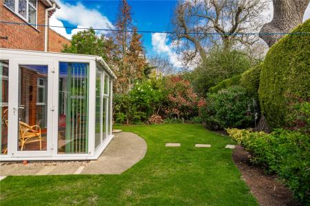 Garden (2)
