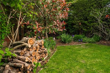 Garden (4)